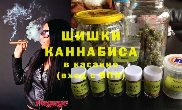ешки Алзамай