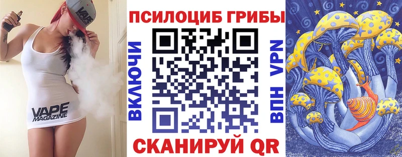 Псилоцибиновые грибы Psilocybe  Лагань 